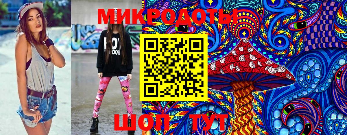 Новороссийск  Псилоцибиновые грибы Cubensis  Вход с VPN 